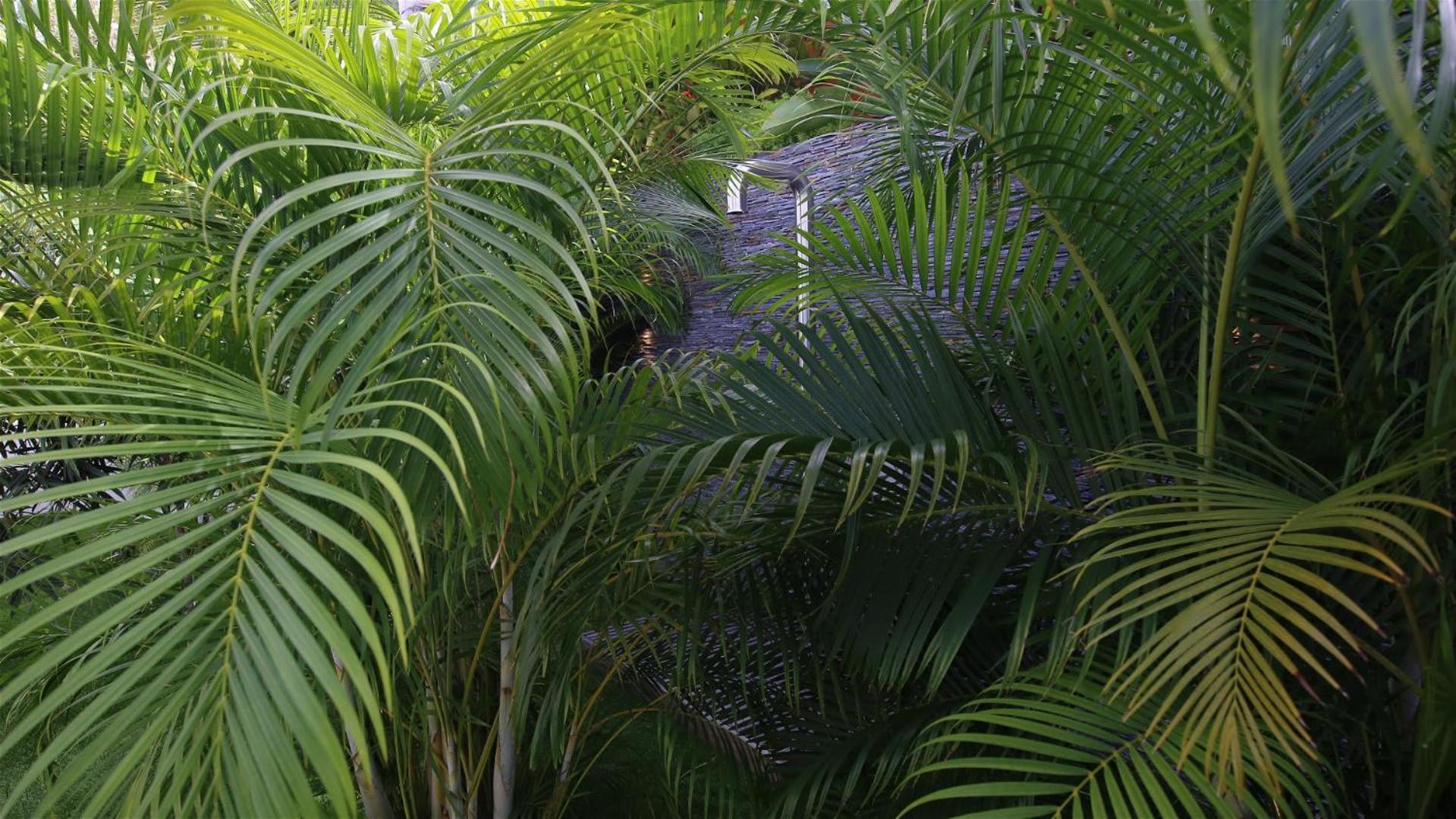 Architecture Jewel Set On A Hillside St. Barthelemy Exterior foto
